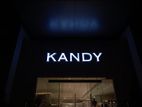 Precision-Cut 3D Lettering for Modern Storefronts
