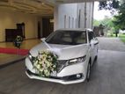 Toyota Premio Wedding Car for Hire
