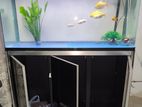 Aluminium Curved Aquarium Set