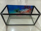 Premium Aquarium Tank with A Silver Arowana