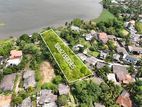 Premium Bolgoda Lake Facing Land for Sale