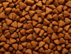 Cat Food