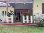 Premium Fruit Garden Property for Sale – Giriulla
