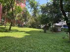 Premium Garden-View Office Space in Colombo 5