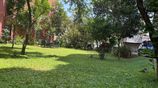 Premium Garden-View Office Space in Colombo 5