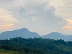 Premium Hilltop Land in Kandy