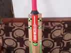 Premium Kashmir Willow Cricket Bats