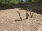Premium Land for Sale Battaramulla