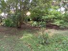 Premium Land for Sale Battaramulla