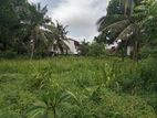Premium Land for Sale Boralasgamuwa