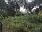 Premium Land for Sale Boralesgamuwa