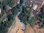 Land for Sale - Kumbuka
