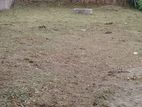 Premium Land for Sale Homagema