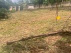 Land for Sale in Kandana