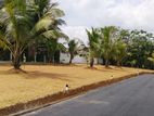 Premium Land for Sale in Kiriwattuduwa