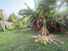 Premium Land for Sale in Thimbirigasyaya – Colombo 05