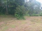 Premium Land for Sale in Vigoda, Bemmulla