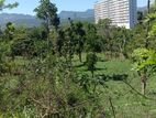 Premium Land For Sale - Kandy ,Pallekale