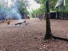 Premium Land for Sale Pannipitiya