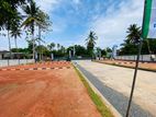 Premium Land Plots for Sale in Wadduwa C33