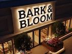 Premium Quality Shop Front Sign Boards
