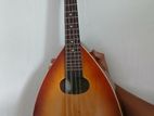 Mandolin