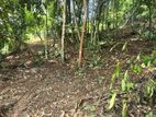 Premium Rainforest Land for Sale – Hikkaduwa Tourist Zone
