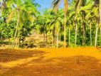 Premium Residential, Commercial - Road facing land for sale in Thalagala