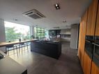Premium Showroom Rent Facing R A De Mel Mw Colombo 3 - 4057U