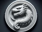 Premium White Dragon Logo Designing