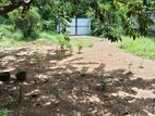 Prestigious Land for Sale Maharagama