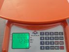 Electric Scale