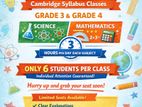 Primary education