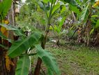 Prime 10 Perch Bare Land for Sale – Kottawa