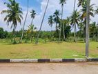 Prime 10 Perch Land for Sale in Katunayake