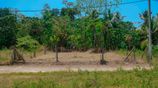 Prime 10-Perch Residential Land for Sale in Hirana, Panadura