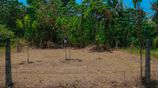 Prime 10-Perch Residential Land for Sale in Hirana, Panadura