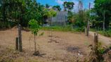 Prime 10-Perch Residential Land for Sale in Hirana, Panadura