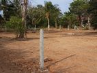 Prime 100 Perch Sea View Land in Kalametiya, Tangalle |SL 14771