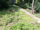 Prime 12.78 P Residential Land in Watapuluwa Kandy | SL14712