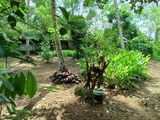 Prime 13 Perch Residential Land for Sale – Athurugiriya