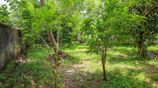 Prime 13 Perch Residential Land for Sale – Athurugiriya