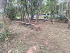 Prime 13.5P Residential Land in Pannipitiya | SL14775