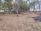 Prime 13.75P Residential Land in Pannipitiya | SL14774