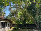 Prime 17-Perch Land for Sale – Kalalgoda, Gramasevaka Mawatha