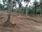 Prime 2-Acre Commercial Land for Sale in Homagama