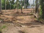 Prime 2-Acre Commercial Land for Sale in Homagama