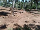 Prime 2-Acre Commercial Land for Sale in Homagama