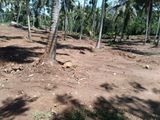 Prime 2-Acre Commercial Land for Sale in Homagama