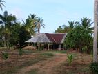 Prime 2-Acre Land for Sale in Elipadeniya